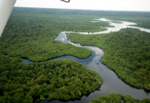 Mens Amazonas flommer over, truer historisk tørke Brasils økonomi