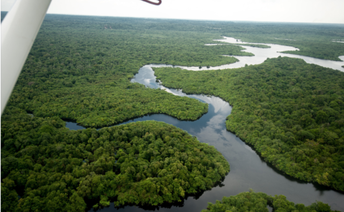 rio_negro_canva_120621