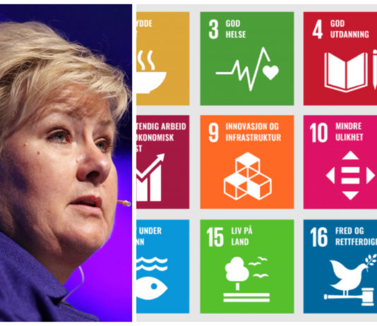 Erna har vært FNs pådriver for bærekraftsmålene i 5 år. Først nå kommer planen for hvordan Norge skal bidra