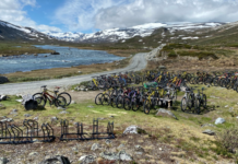 Elsykler i Jotunheimen overvåkes