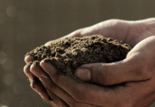 Fra 29. juli tar vi på krita av jordas naturressurser