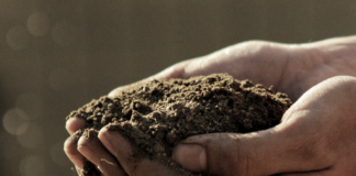 Fra 29. juli tar vi på krita av jordas naturressurser