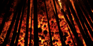 Hetebølgene vil komme mye oftere