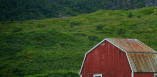 Bondelaget ber om flere uanmeldte tilsyn på norske bruk