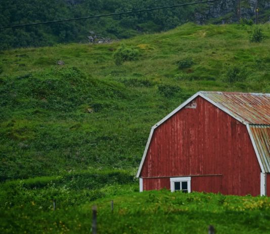 Bondelaget ber om flere uanmeldte tilsyn på norske bruk