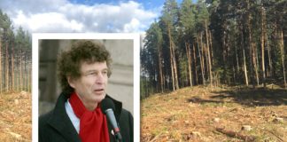 Setter krav til norske politikere: Miljøfolket samler seg om kamp for naturen