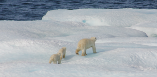 Tirsdag avsløres hvem av Norges 100 største bedrifter som er best og dårligst på klima