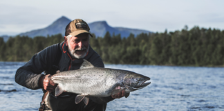 Den atlantiske villaksen blir trolig rødlistet i høst. Nå tar fluefiskende journalister grep