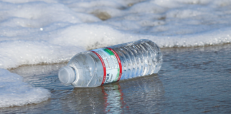 Plastens styrke blir havets – og dermed din – fiende