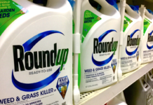 Bayer fjerner glyfosat fra Roundup, men bare i USA og i plenmidler
