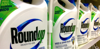 Bayer fjerner glyfosat fra Roundup, men bare i USA og i plenmidler