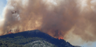 Branner herjer i skog som er kjøpt som klimakompensasjon