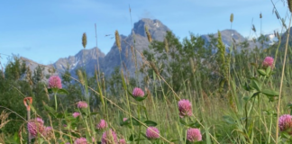 – Fortsatt økonomisk vekst forsterker både natur- og klimakrisen