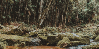 15 prosent av Brasils overflatevann har forduftet