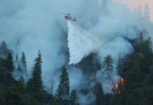 Skogbrannene på den nordlige halvkule har gitt store utslipp av klimagasser
