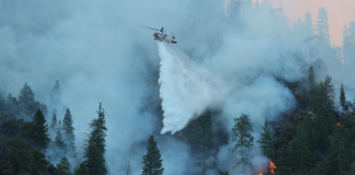 Skogbrannene på den nordlige halvkule har gitt store utslipp av klimagasser