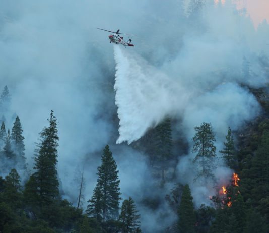 Skogbrannene på den nordlige halvkule har gitt store utslipp av klimagasser