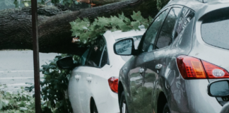 WMO-rapport: Femdobling i værrelaterte naturkatastrofer