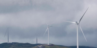 Fosen Vind om høyesterettsdommen: – Dette kom helt overraskende på oss