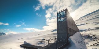 I 2030 skal sult være utryddet. Da må frøsikkerheten være i orden