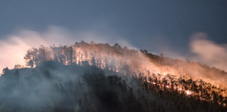 Google vil hindre at klimafornektere tjener reklamepenger