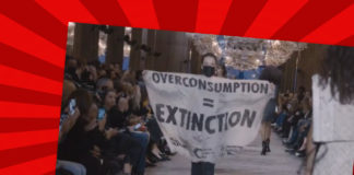 Klimaaktivister pågrepet etter å ha stormet motevisning