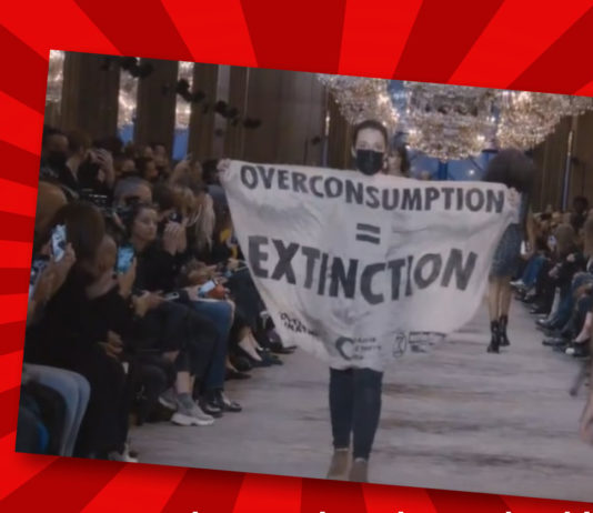 Klimaaktivister pågrepet etter å ha stormet motevisning