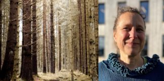 Barskogen i Skandinavia er under press. Høgskolen i Innlandet leder “reddeprosjekt”