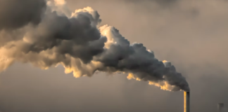 Trump sparker forskere og satser på kull: – Overraskende fort og brutalt