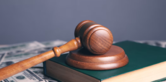 Må betale høy bot: Kommune dømt for flatehogst i naturreservat