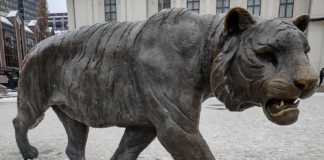 XR holdt minnemarkeringer for truede arter