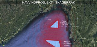 – Zephyrs havvindprosjekt «Vidar» bryter med Naturmangfoldloven