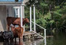 WEF advarer mot klimakrisen, korona, digitale trusler – og romkappløp