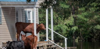 WEF advarer mot klimakrisen, korona, digitale trusler – og romkappløp