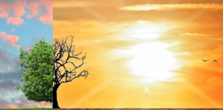 EUs klimaovervåking: De siste sju årene er de varmeste som er registrert i verden