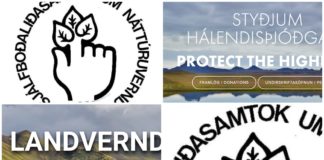 To islandske miljøorganisasjoner slår seg sammen