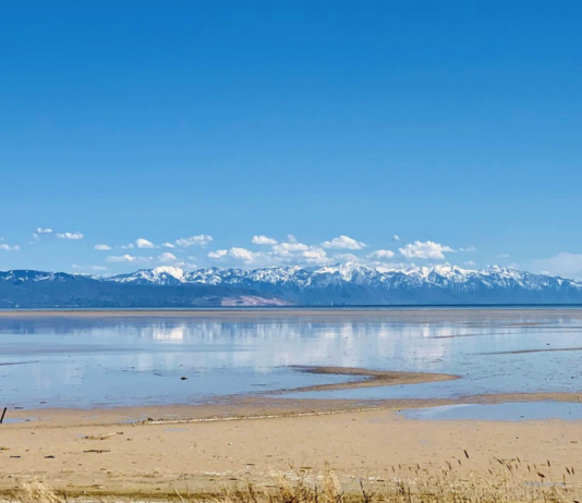 Vil redde truede Great Salt Lake