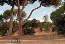 Spania og Portugal herjet av tørke