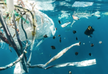 WWF: Verden trenger traktat for å håndtere plast-trusselen