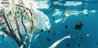 WWF: Verden trenger traktat for å håndtere plast-trusselen