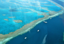 Ny bleking på Great Barrier Reef