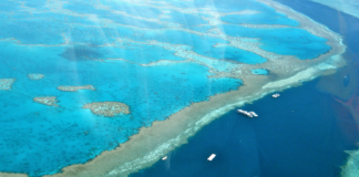 Ny bleking på Great Barrier Reef