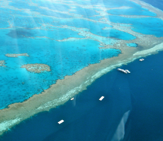 Ny bleking på Great Barrier Reef