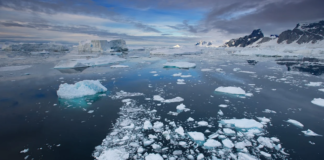 Svært lite sjøis i Antarktis i februar