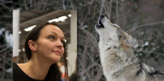 Svenske aviser kutter ut Nemi etter ulvebudskap