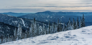 Viktig klimaforskning i Sibir har stanset på grunn av krigen