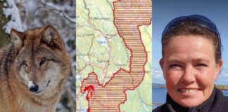 Miljøengasjert lokalpolitiker: Cathrine Palm Spange melder seg ut av Ap