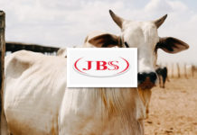 Kjøttgiganten JBS har samme klimafotavtrykk som Italia, ifølge studie. Oljefondet er blant eierne