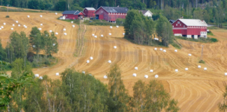 Klimaforsker overrasket – tre uker lenger vekstsesong