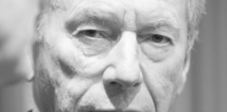 Ulltveit-Moe lover EU-kamp i MDG